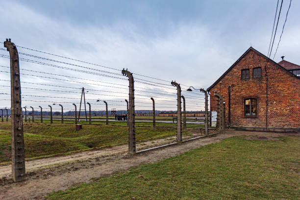 Auschwitz, Poland - December 3, 2018: This image showcases the electrified barbed wire fences and a brick building at Auschwitz-Birkenau. The expansive fencing reflects the vastness of the camp, symbolizing the oppressive confinement endured by prisoners. This preserved setting stands as a haunting reminder of the Holocaust's unimaginable scale and impact.