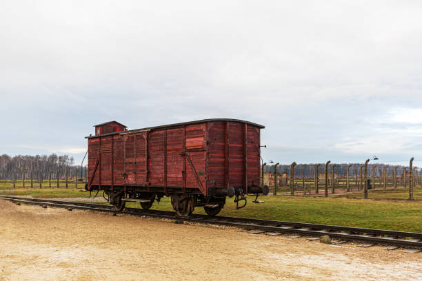 Auschwitz, Poland - December 3, 2018: This image features a preserved railway car used to transport victims to Auschwitz-Birkenau. These cramped boxcars symbolize the inhumane deportation of countless individuals to the camp. Positioned on the tracks leading into the site, it serves as a stark reminder of the horrors of systematic genocide.