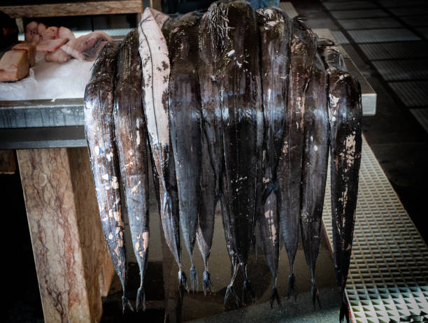 Freshly caught swordfish are displayed for sale in a traditional fish market environment. They are arranged on a stone tabletop, highlighting their sleek, elongated bodies in a commercial seafood setting.