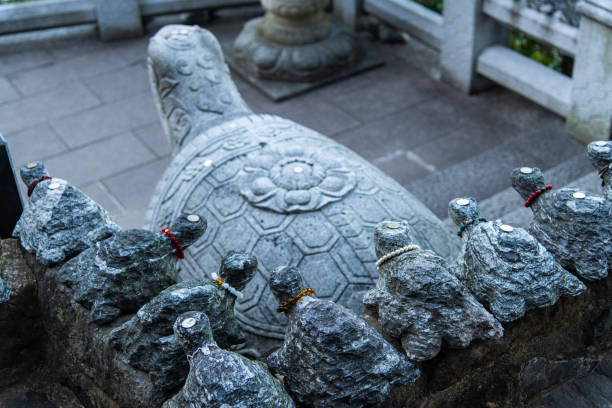 istock high-angle view of the turtle sculptures 2190941693