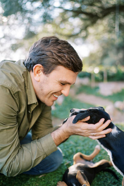 istock Smiling man pulling a big puppy to him while sitting on a green lawn 2190943313