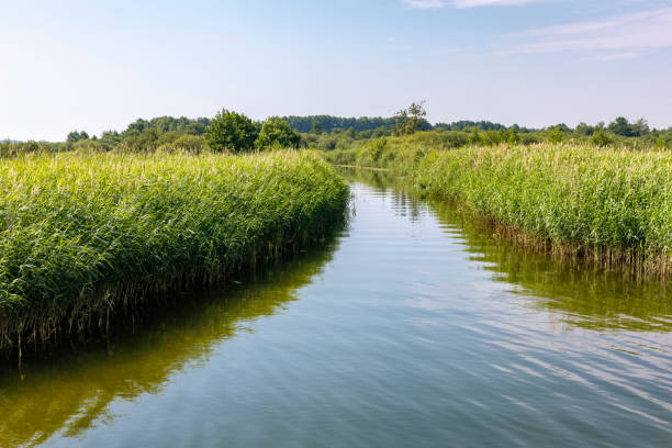istock Canal between Lake Unter- and Oberuckersee, Uckermark, Germany 2190946521