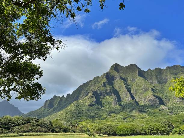 istock Scenes of Oahu 3 2190947778