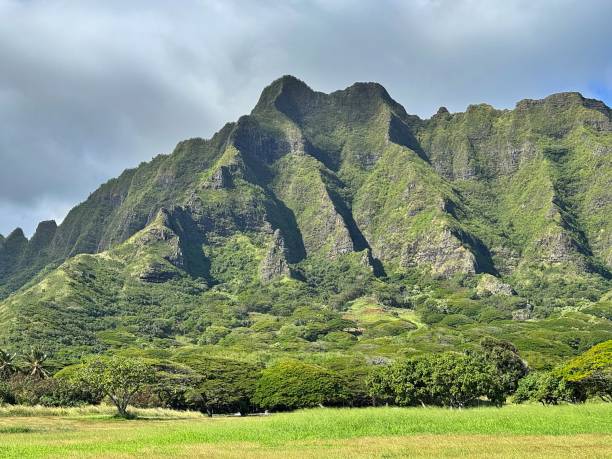 istock Scenes of Oahu 3 2190947806