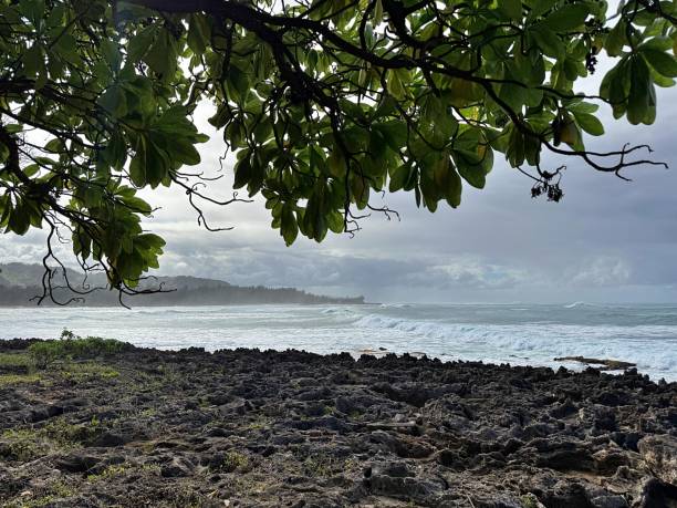 istock Scenes of Oahu 3 2190947940