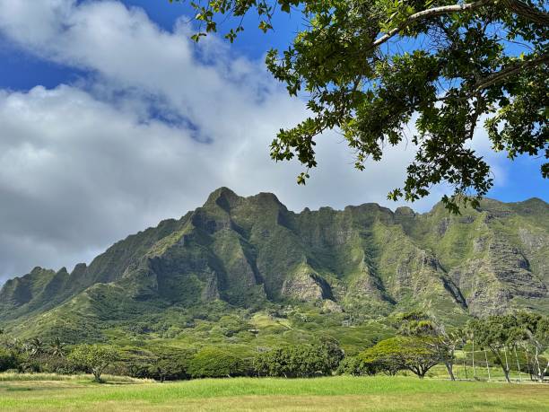istock Scenes of Oahu 3 2190947947