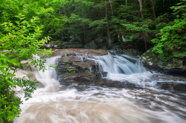 istock spruce creek at Kaaterskills falls in upstate new york 2190948348