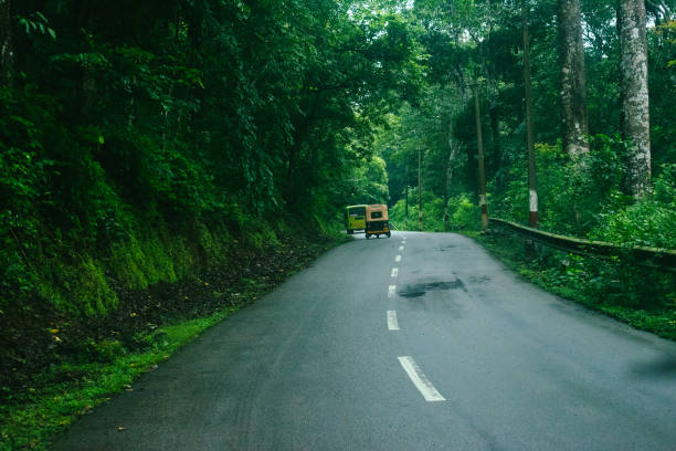 Auto Rickshaw driving on a serene road surrounded by lush green forest