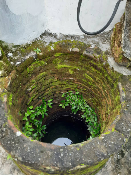istock Draw well, filled with water, moss and wild plants 2190949631