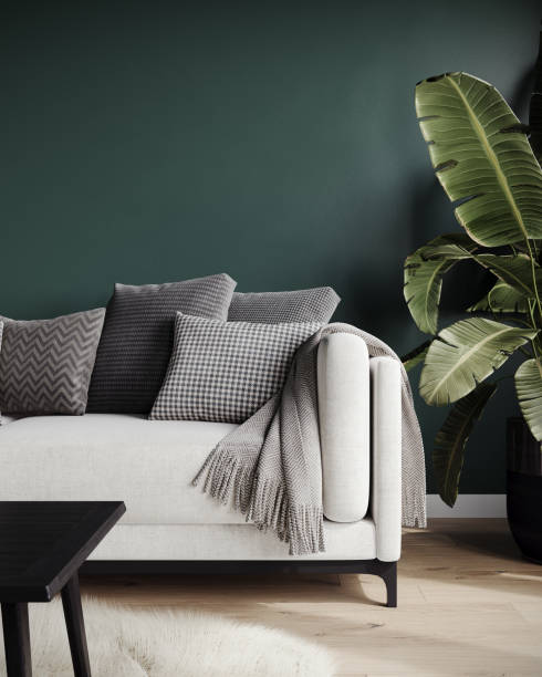 White sofa on dark green wall and big potted plant stock photo