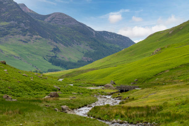 B5289 road with bridge and stream from Honister Pass in the Lake District, Cumbria, UK surrounded by green mountains with pasture and fields of fern
