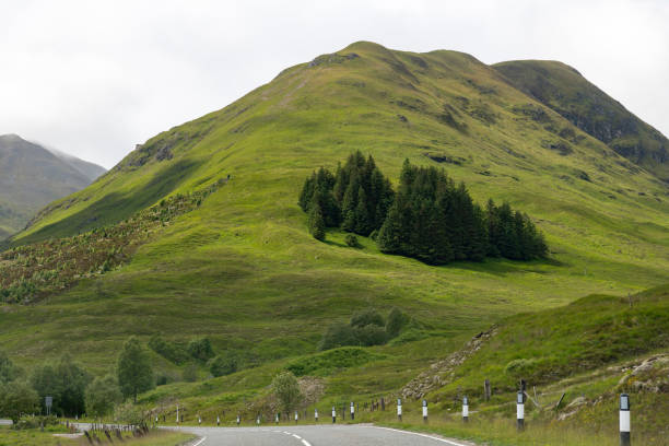 Drivers perspective view over road along Loch Cluanie near Glen Moriston, Inverness, UK with high green grass mountain with a small patch of pine trees
