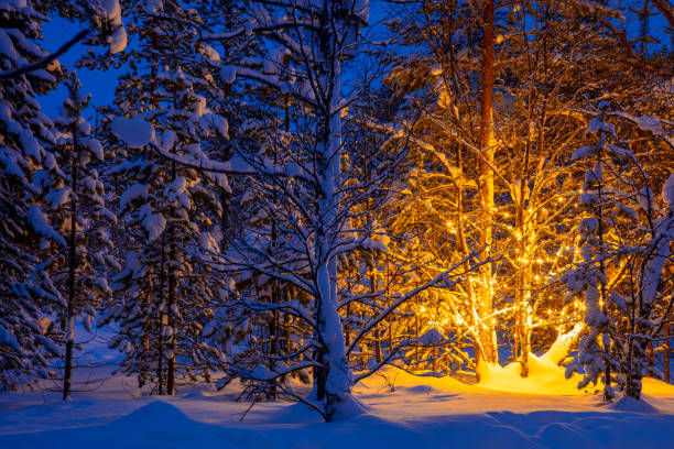 istock Glowing Garland in the Evening Snowy Winter Forest 2190954371