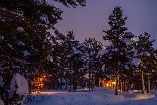 Finnish Lapland in winter. Lots of snow in the night forest. Lighting garland and illuminated log cottage