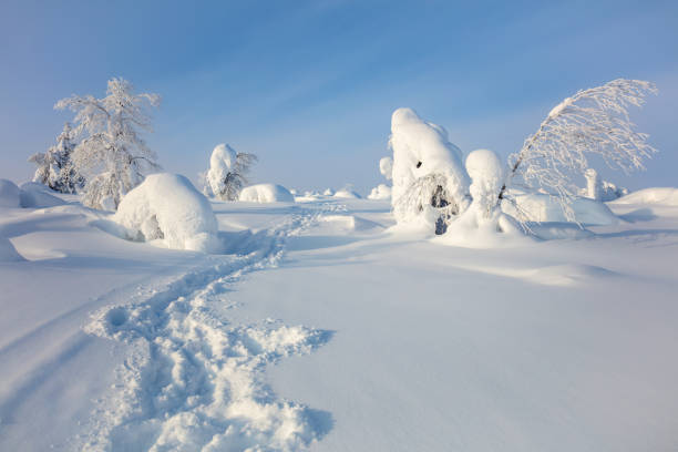 istock Northern Snowy Landscape and Pedestrian Track 2190954393