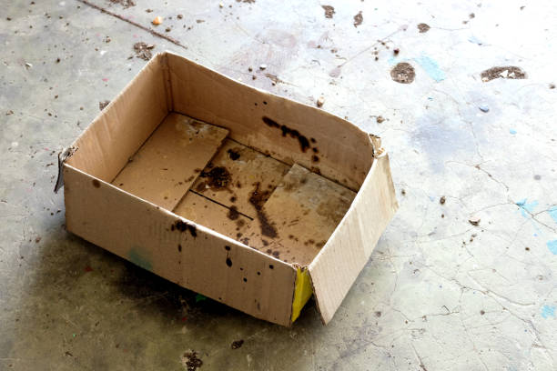 istock old cardboard with dirty and dirty paint 2190956077