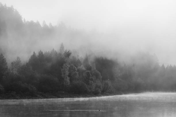istock Misty Waters and Birds in Flight: A Contemporary Minimalist Landscape 2190956128