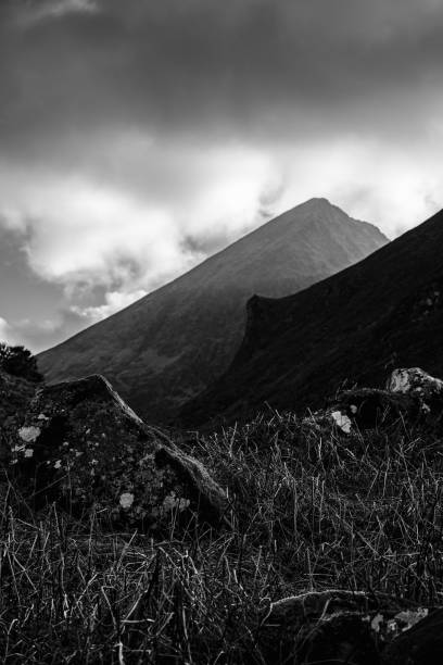 istock The image shows a mountain slope with various sized rocks scattered across a hillside. The vegetation is predominantly grass and moss. The sky is partially cloudy. 2190959356