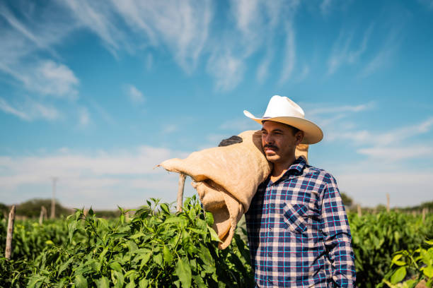 istock Mid adult farmer man working at agricultural field 2190961896