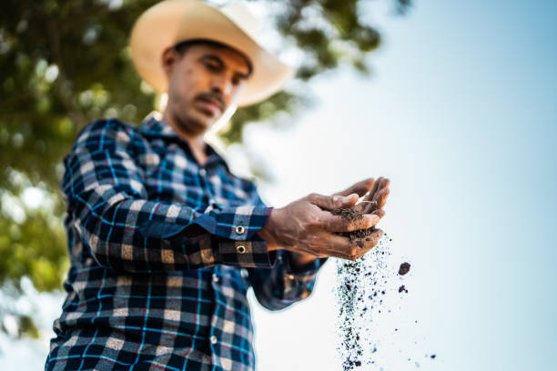 istock Close-up of farmer man working at agricultural field 2190962321