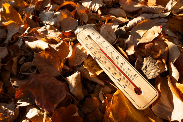 istock Thermometer on ground covered with autumn leaves in park on warm sunny day. 2190965764