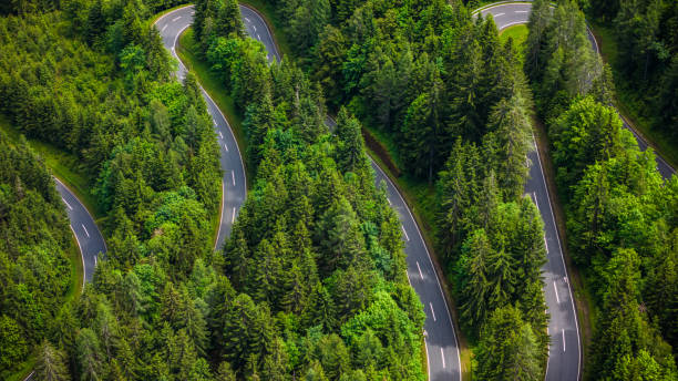 istock Aerial Drone View of Winding Road Through Dense Pine Forest 2190966028