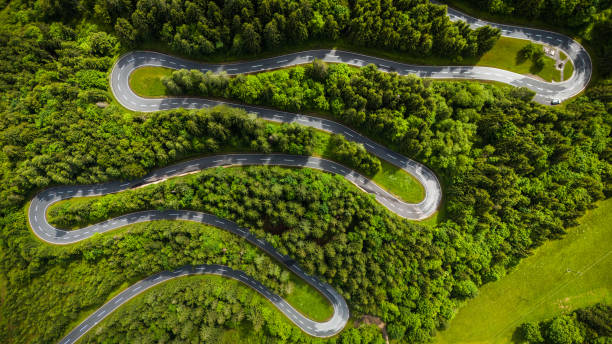 istock Aerial Drone View of Winding Road Through Dense Pine Forest 2190966082