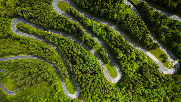 istock Aerial Drone View of Winding Road Through Dense Pine Forest 2190966144