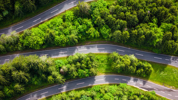 istock Aerial Drone View of Winding Road Through Dense Pine Forest 2190967088