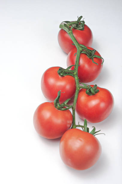 Vine tomatoes from the Valencian organic garden.