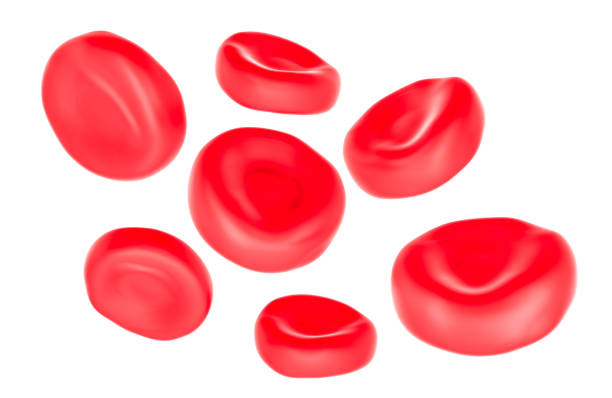 istock Red blood cells, erythrocytes. 3D rendering 2190969925