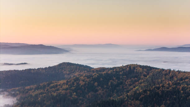 High-angle aerial view of majestic morning fog sun beams through the forest hills of Hokkaido.