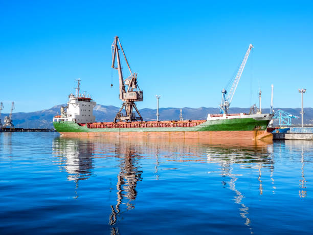 istock Container ship at container terminal in Rijeka port 2190983100