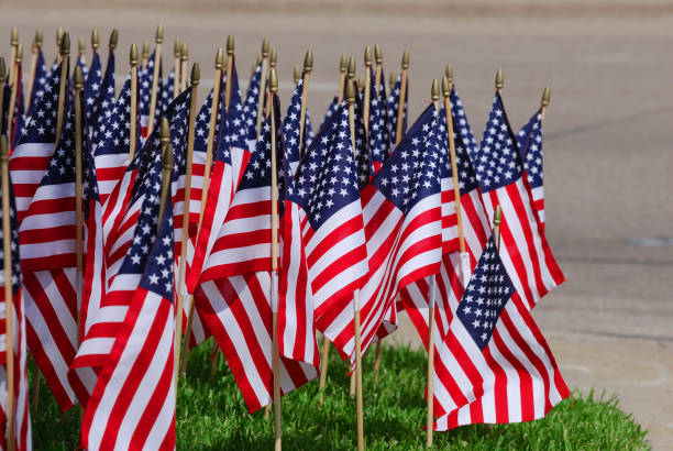istock groups of USA flags on the meadow 2190987901