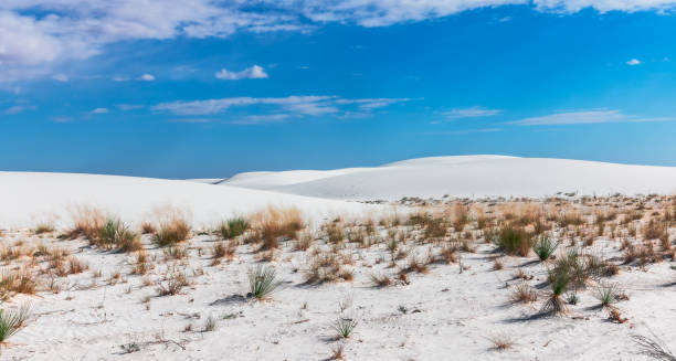 istock White Sands National Park - New Mexico, USA 2190989712
