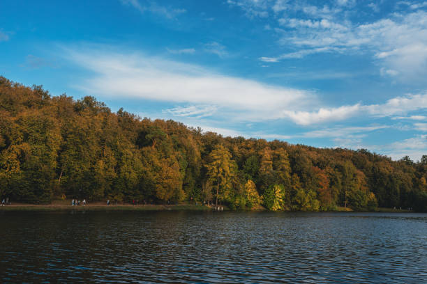 A picturesque lake surrounded by a vibrant autumn forest, with golden foliage reflecting on the water under a clear blue sky, creating a serene and tranquil natural scene