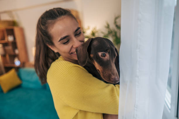 A woman is standing by the window and holding her dog.