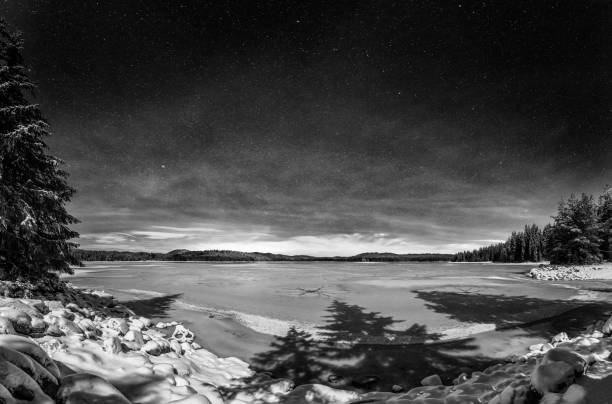 Black & white photo of moonlight illuminated pine forest casting shadows over frozen lake with cracks. Capture the beauty and silence of frozen scape in winter.