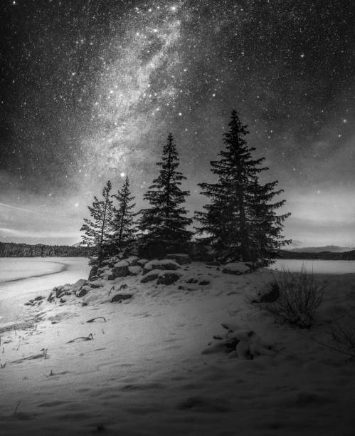 A breathtaking black and white photo captures the Milky Way galaxy's brilliance as it illuminates a serene, snow-covered forest scene under a starry sky.