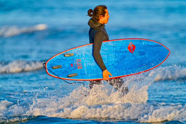 The Pacific Rim National Park in British Columbia on March 02, 2024: Young male surfer entering the ocean for a session at Pacific Rim National Park on Vancouver Island at sunset, British Columbia