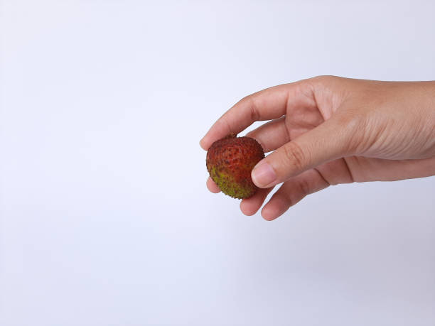Fruits of lychee or Litchi chinensis, isolated on white background