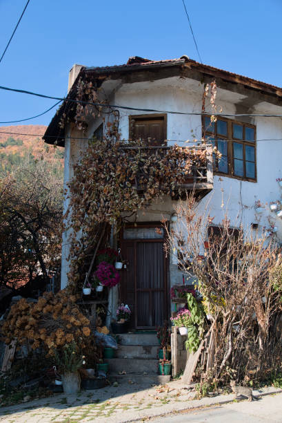 Village houses and forest trees near Küre Mountains National Park