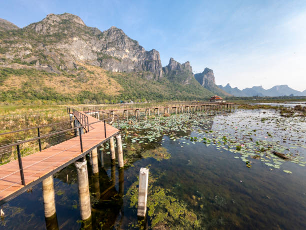 istock Boardwalk at Bueng Bua Nature reserve and Ecosystem Observation Center, with viewing areas,near Hua Hin,Thailand. 2191005606