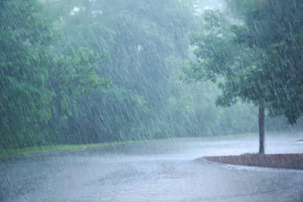 istock heavy rain and tree in the parking lot 2191010036