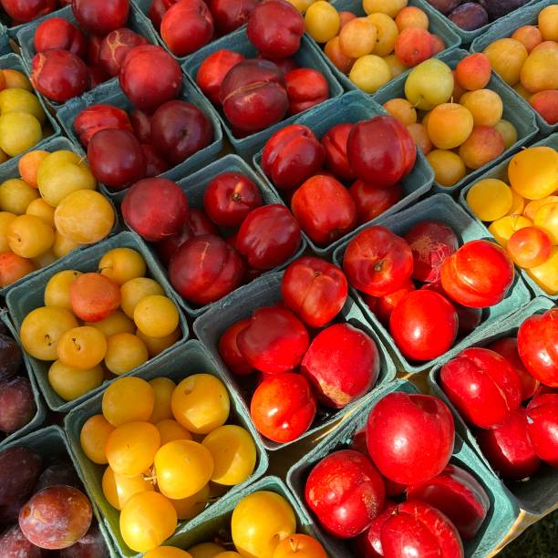 Fruit in baskets at farmers market