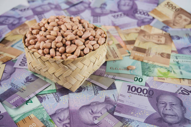 istock Basket of Peanuts Resting on Spread Colorful Currency Notes 2191020177