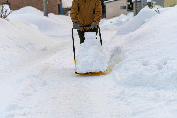 istock Young woman shoveling snow with a snow dump 2191028878