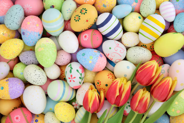 Easter eggs and tulip flowrs background with colorful large collection of eggs. Edible sweet food candy design for holiday season, symbols of Spring.