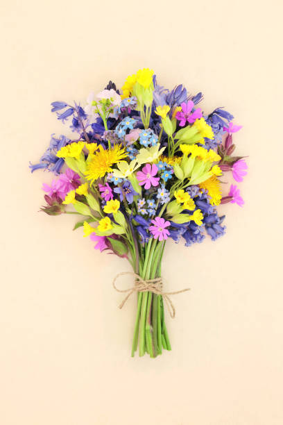 istock Spring Meadow and Woodland Wildflower Posy 2191029107