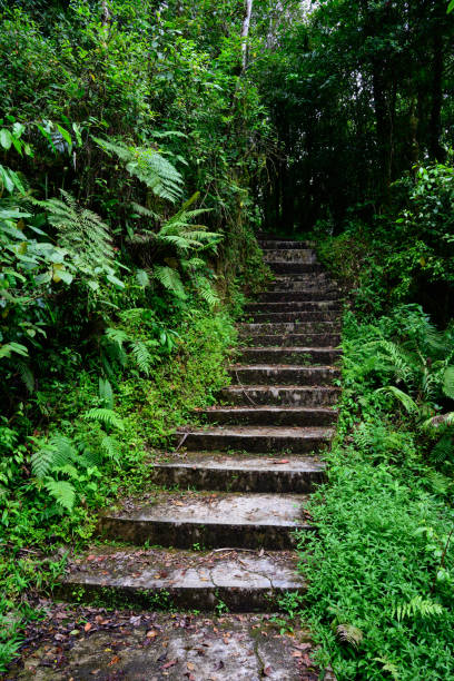 istock Hiking Path Stairs in Ranamese, Flores 2191031129